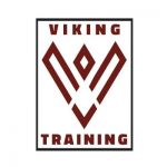 Viking Defence